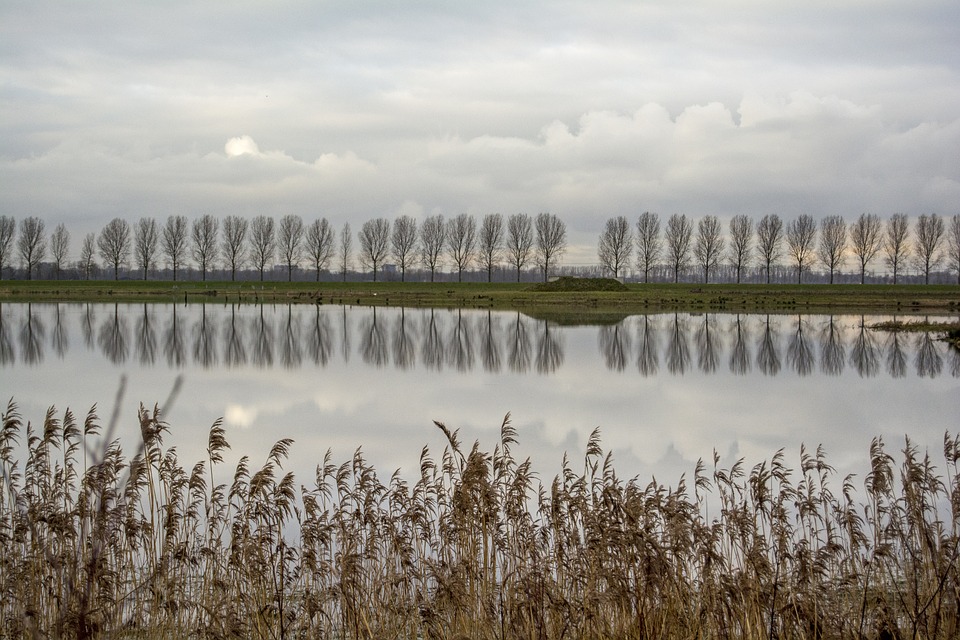 polder